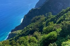 2020-09-14-10.41.05-1